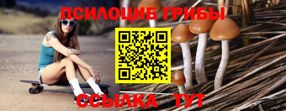 Дмитров  Галлюциногенные грибы GOLDEN TEACHER  Вход с VPN 