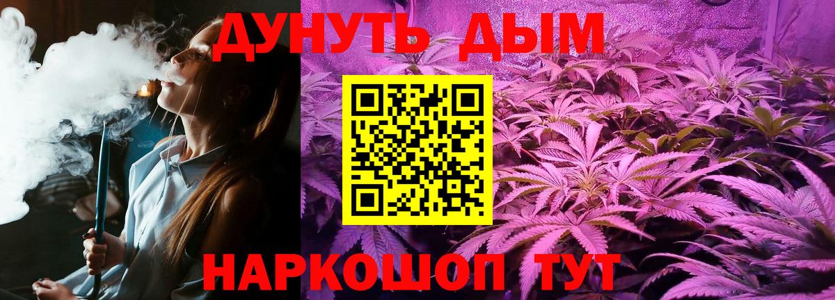 Бошки Шишки план Дмитров